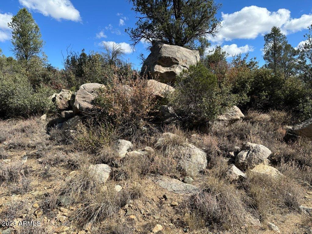 17xxx S Pinon Lane Property Photo 6
