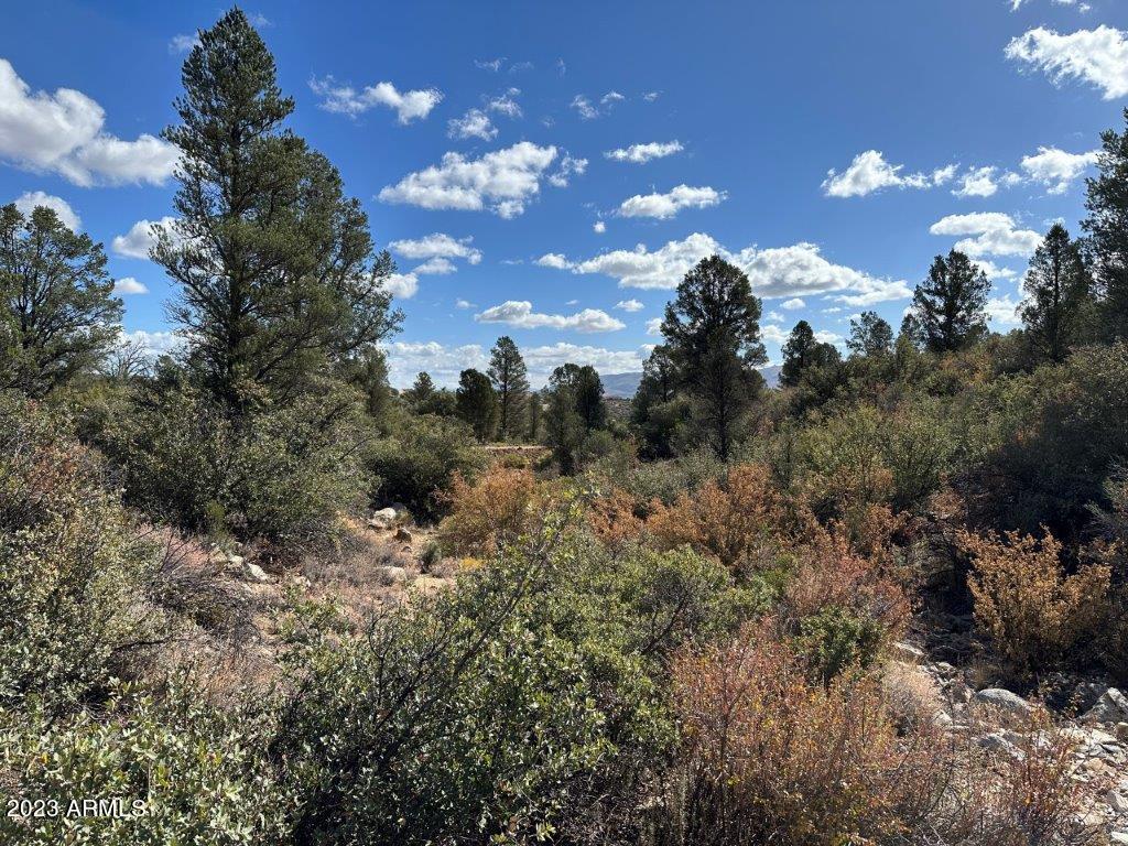 17xxx S Pinon Lane Property Photo 8