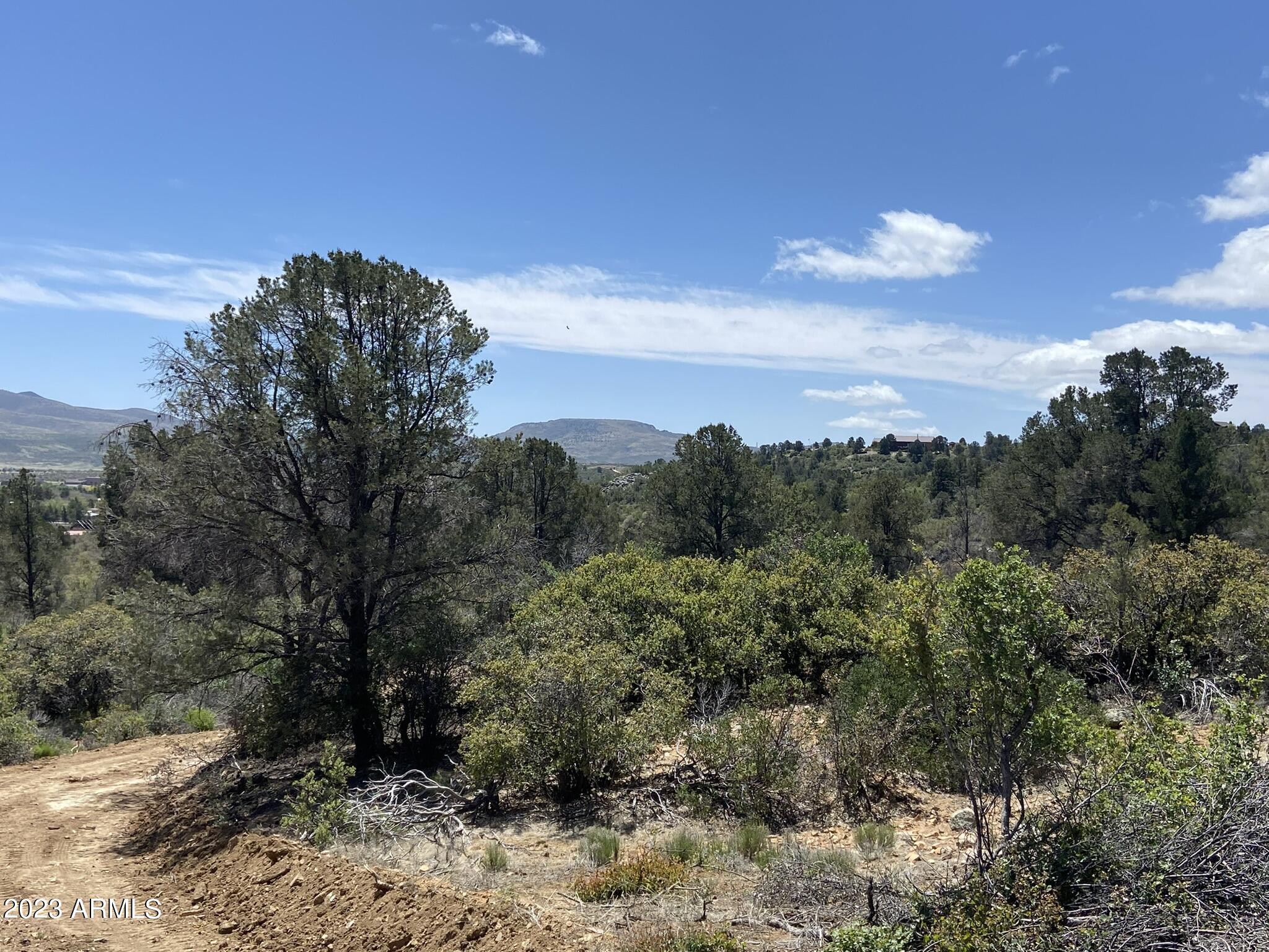 17xxx S Pinon Lane Property Photo 10