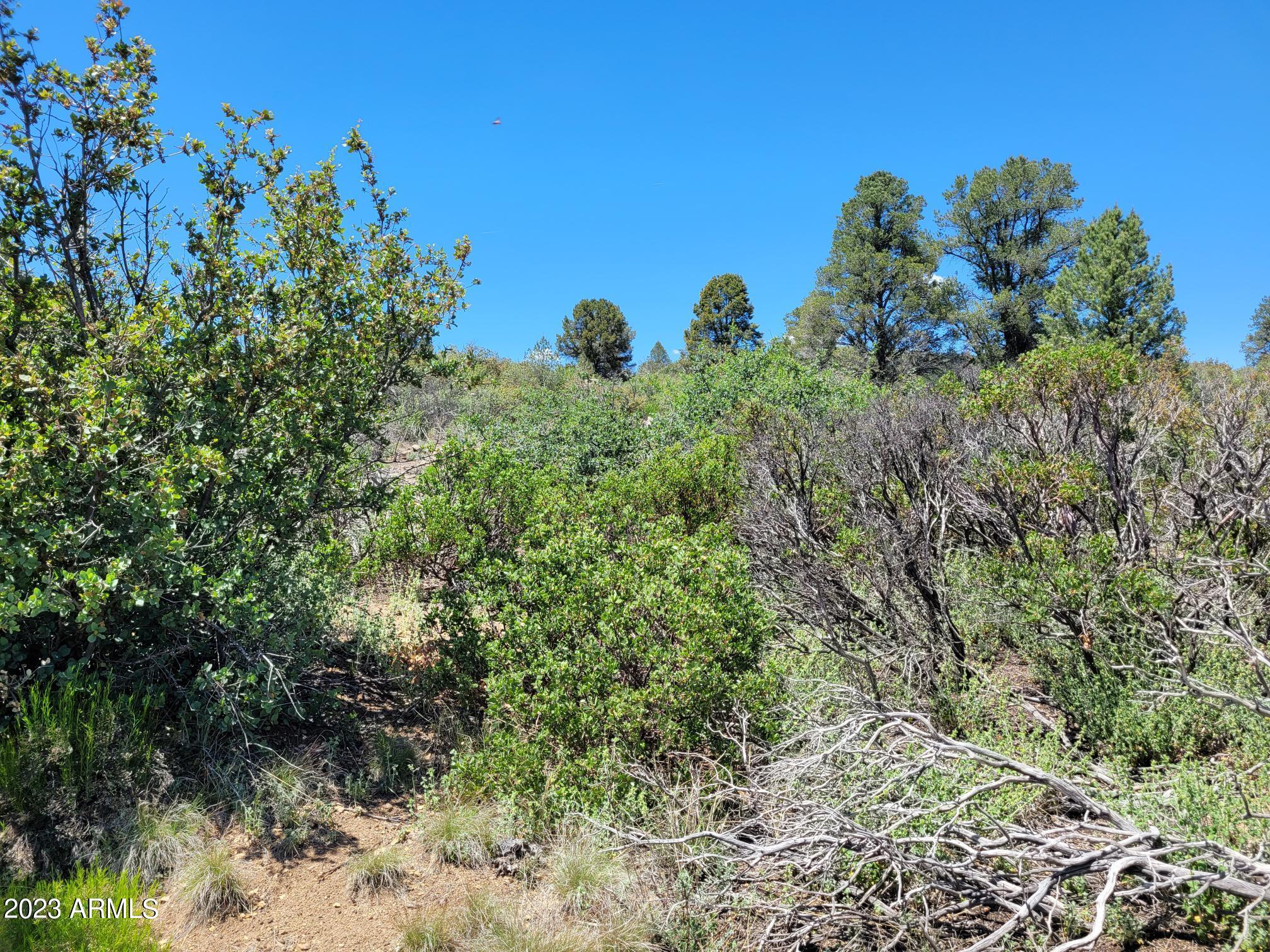 17xxx S Pinon Lane Property Photo 11