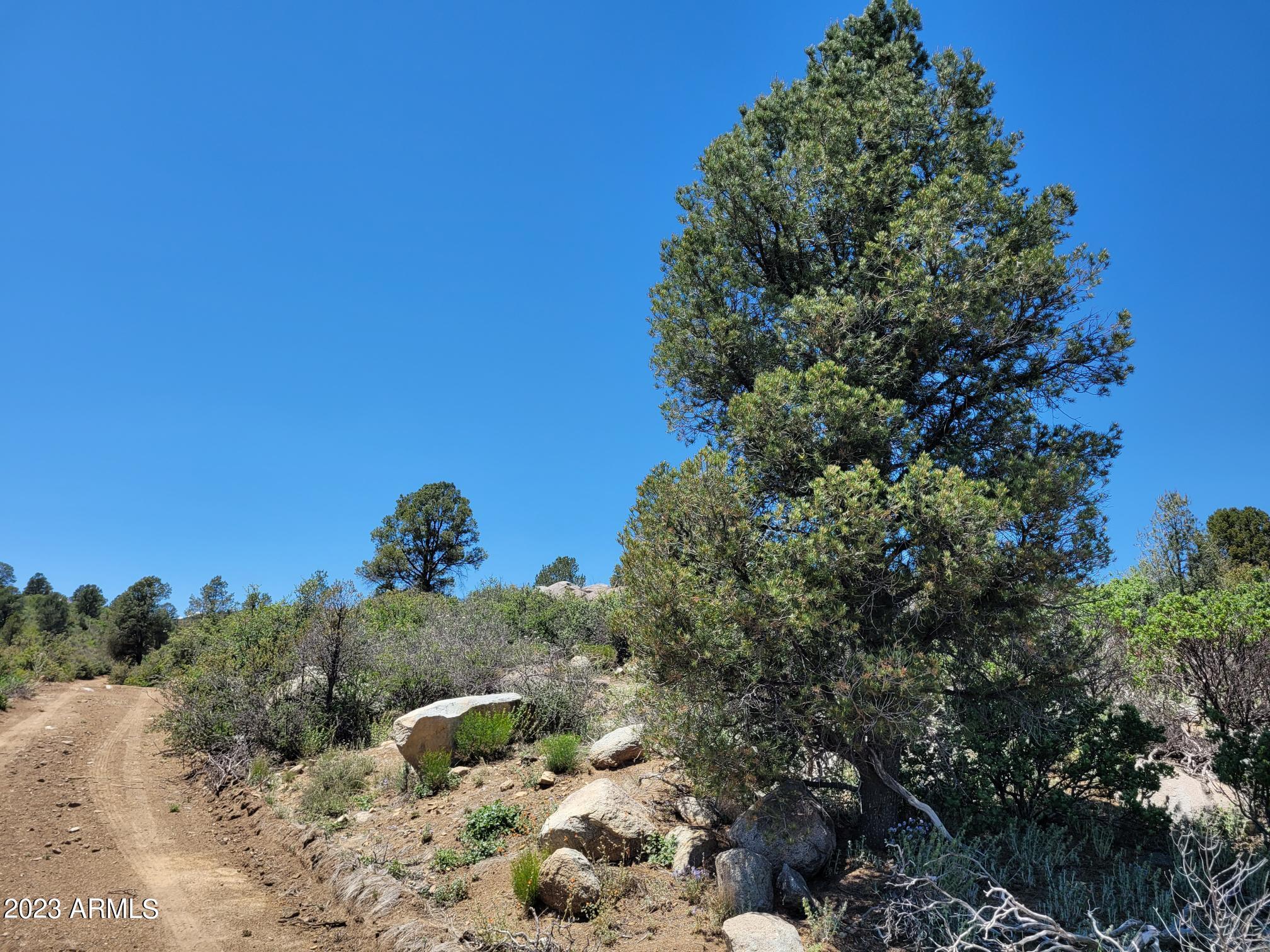 17xxx S Pinon Lane Property Photo 12