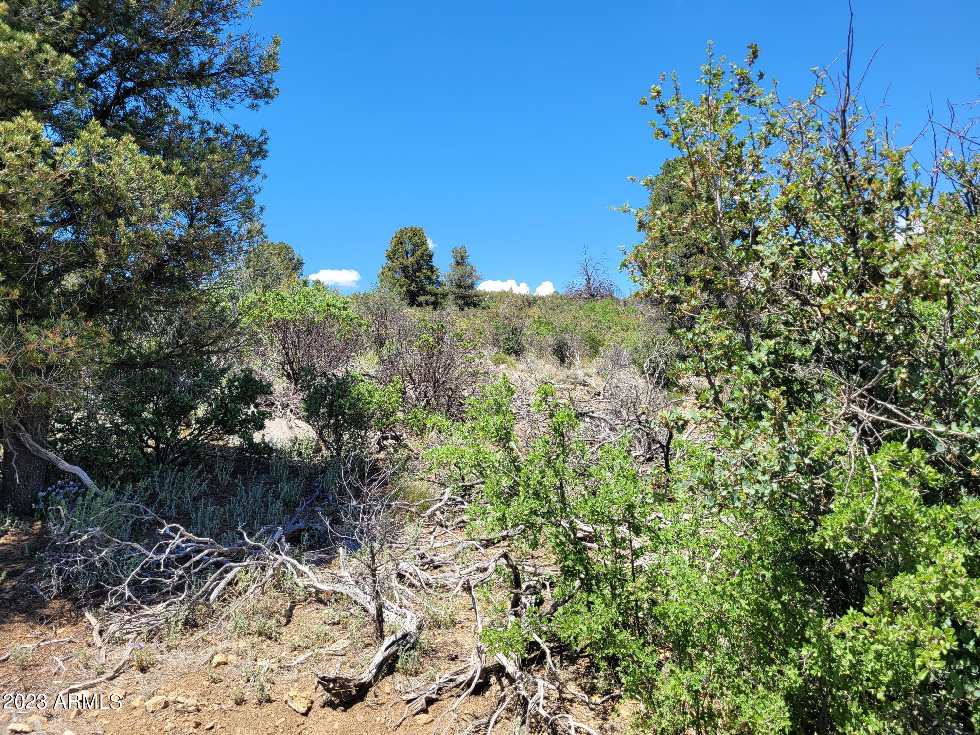 17xxx S Pinon Lane Property Photo 13