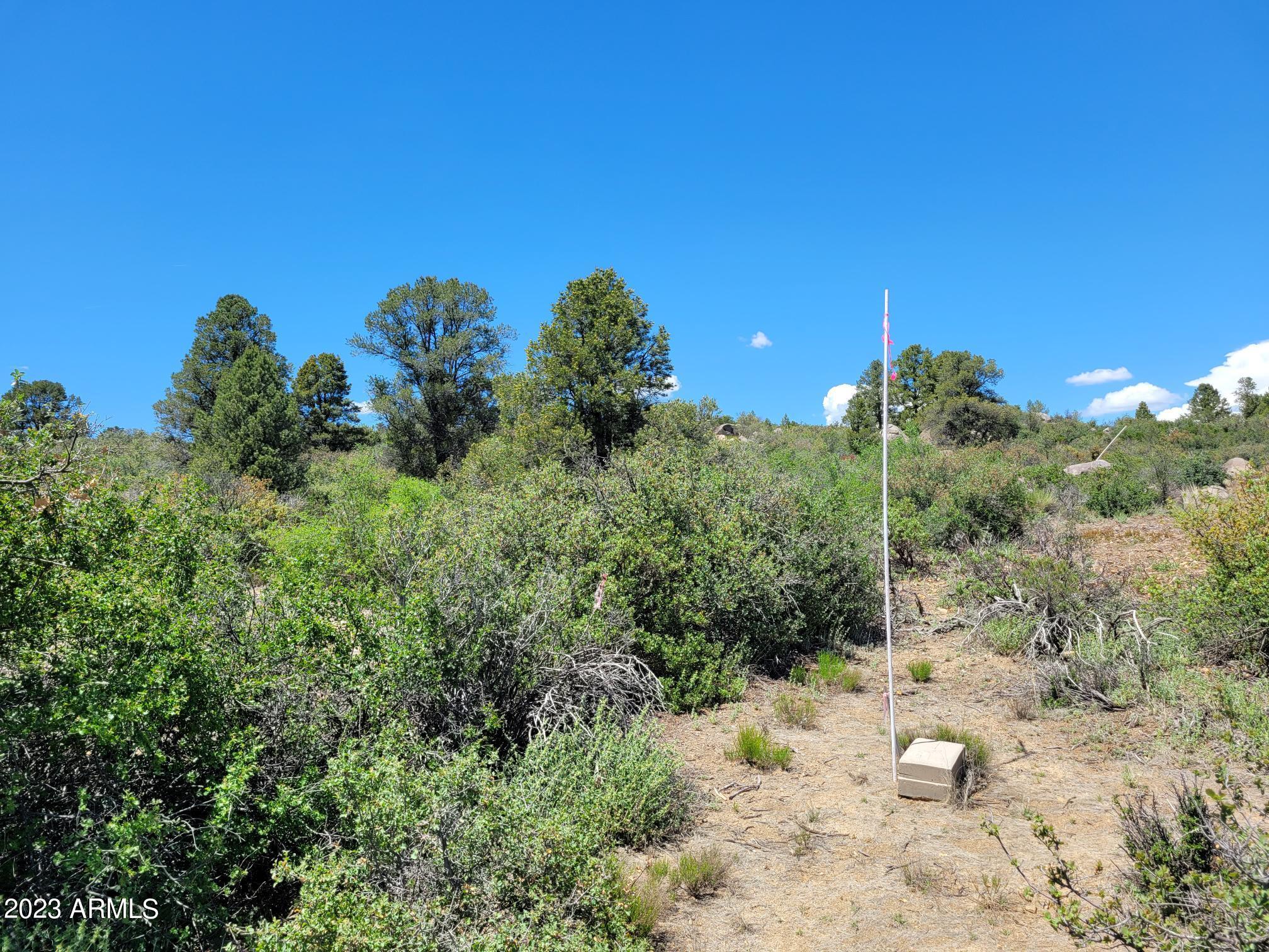 17xxx S Pinon Lane Property Photo 14