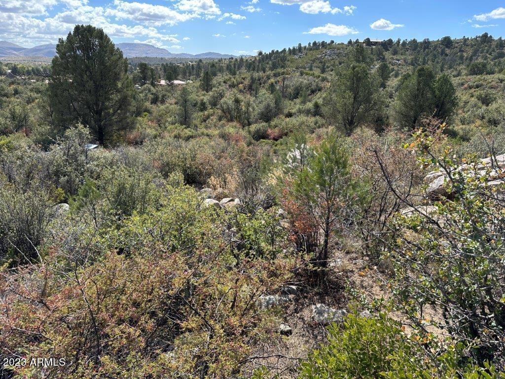 17xxx S Pinon Lane Property Photo 1