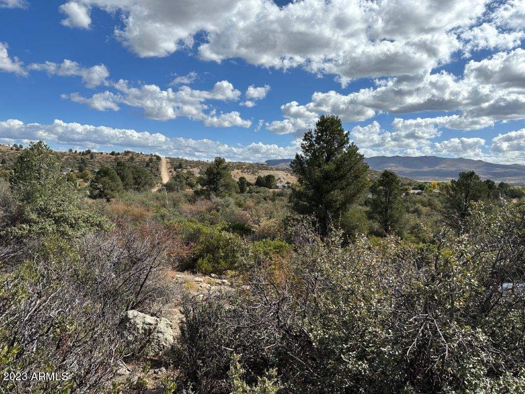 17xxx S Pinon Lane Property Photo 3
