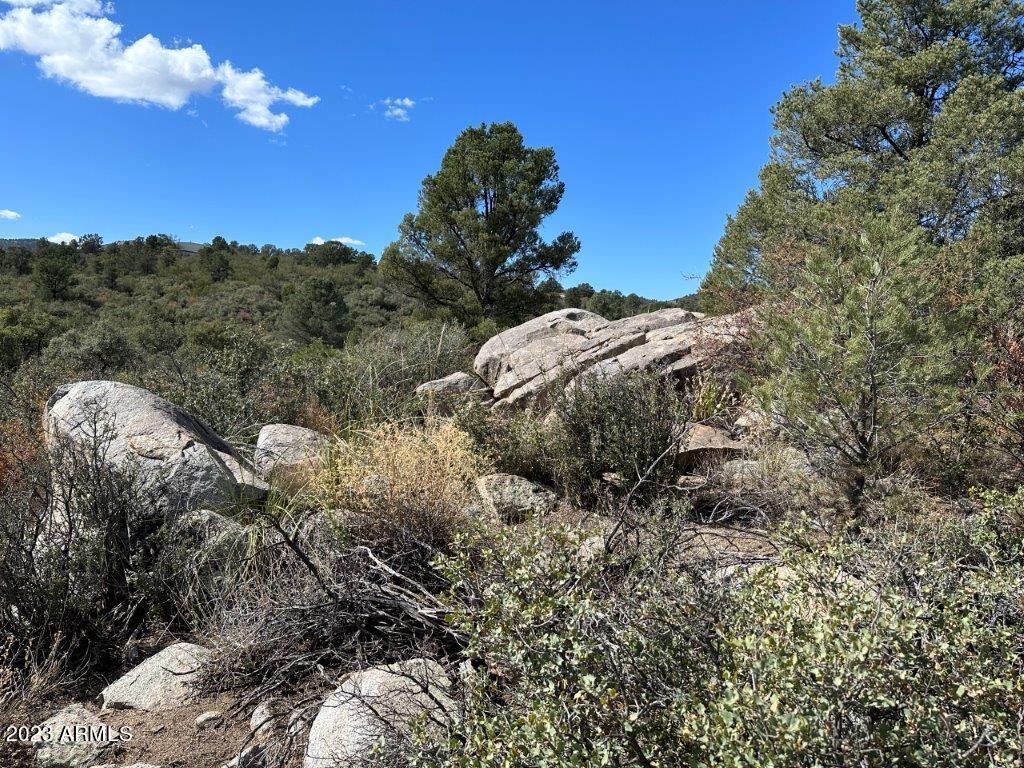 17xxx S Pinon Lane Property Photo 4