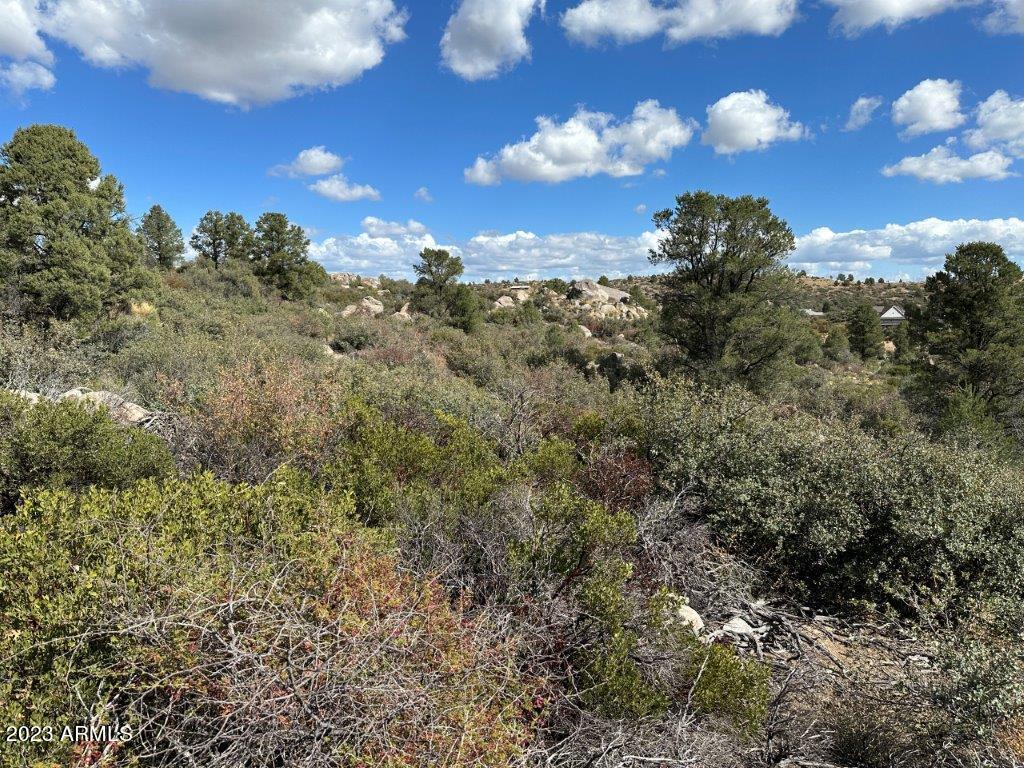 17xxx S Pinon Lane Property Photo 7