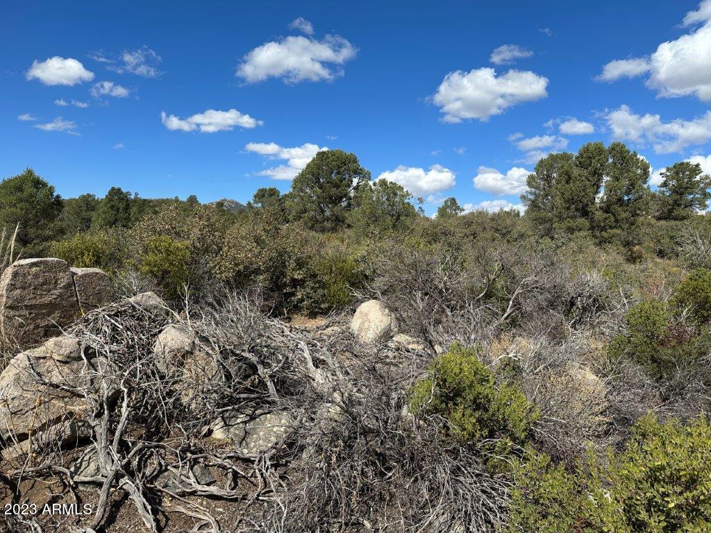 17xxx S Pinon Lane Property Photo 8