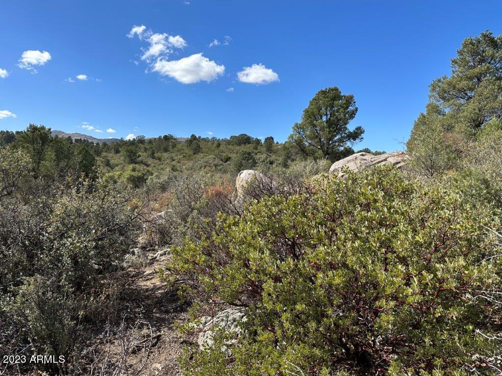 17xxx S Pinon Lane Property Photo 11
