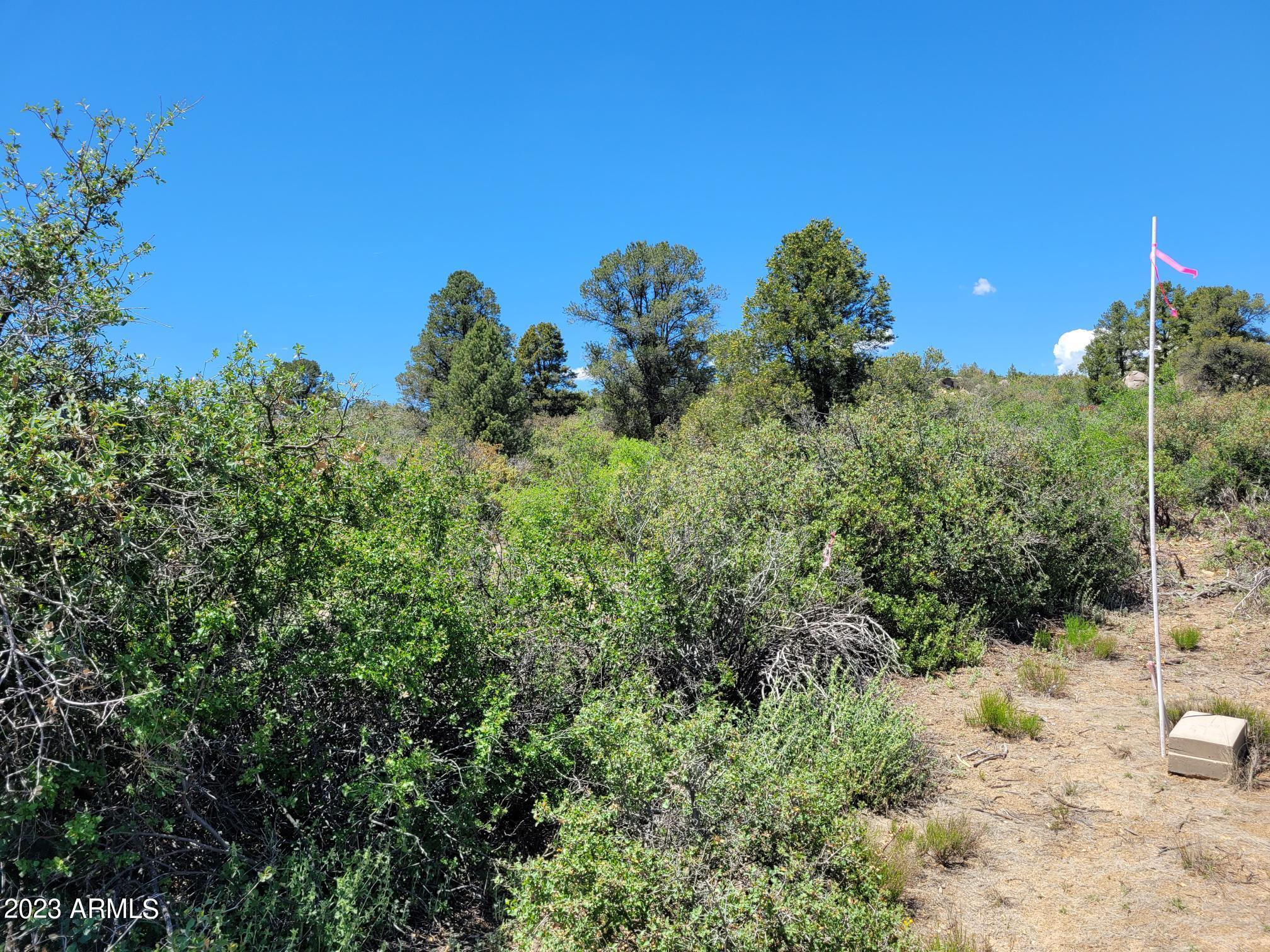 17xxx S Pinon Lane Property Photo 12