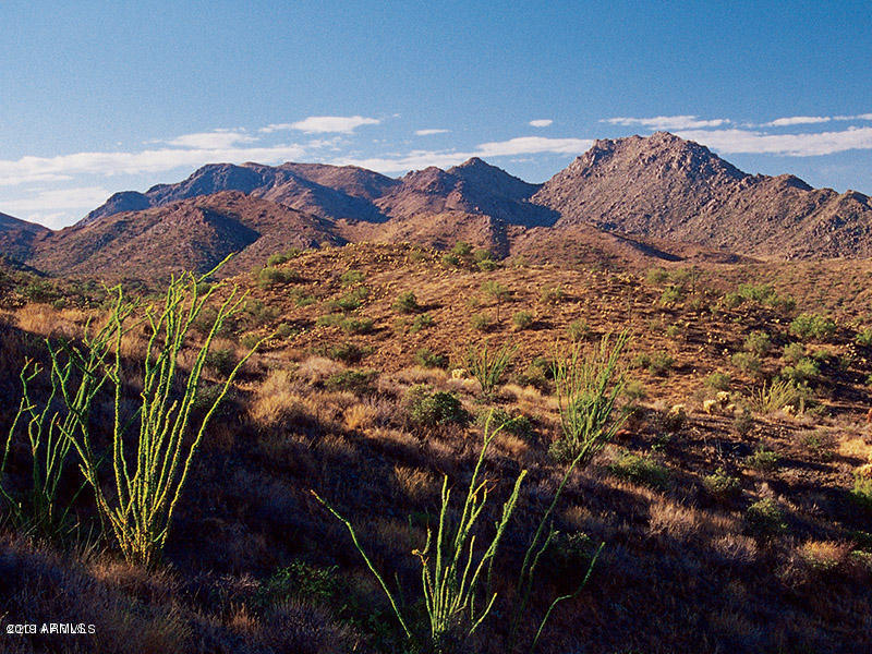 15609 N Javelina Trail Property Photo 5