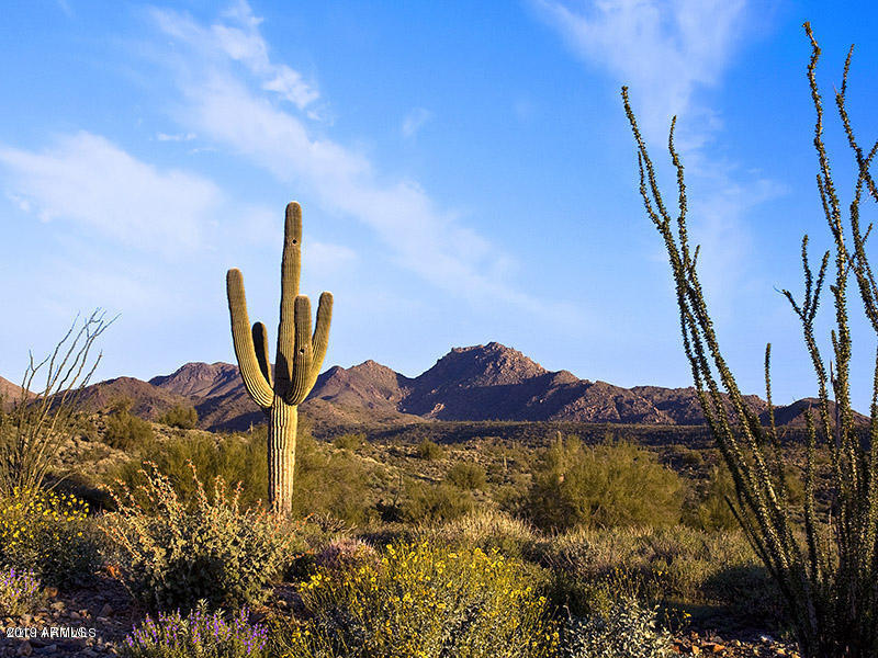 15609 N Javelina Trail Property Photo 8