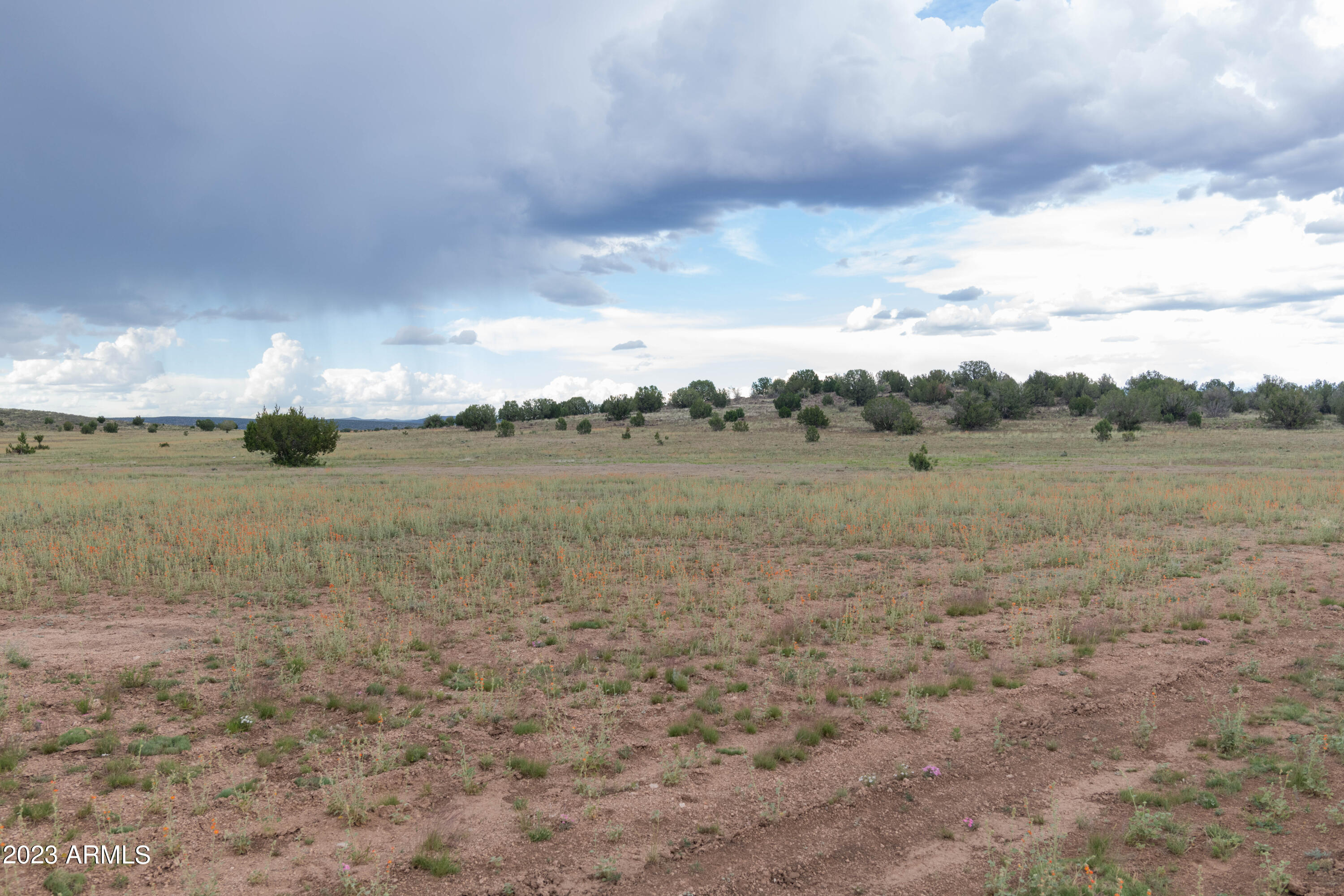 10 Acres W Deep Water Road Property Photo
