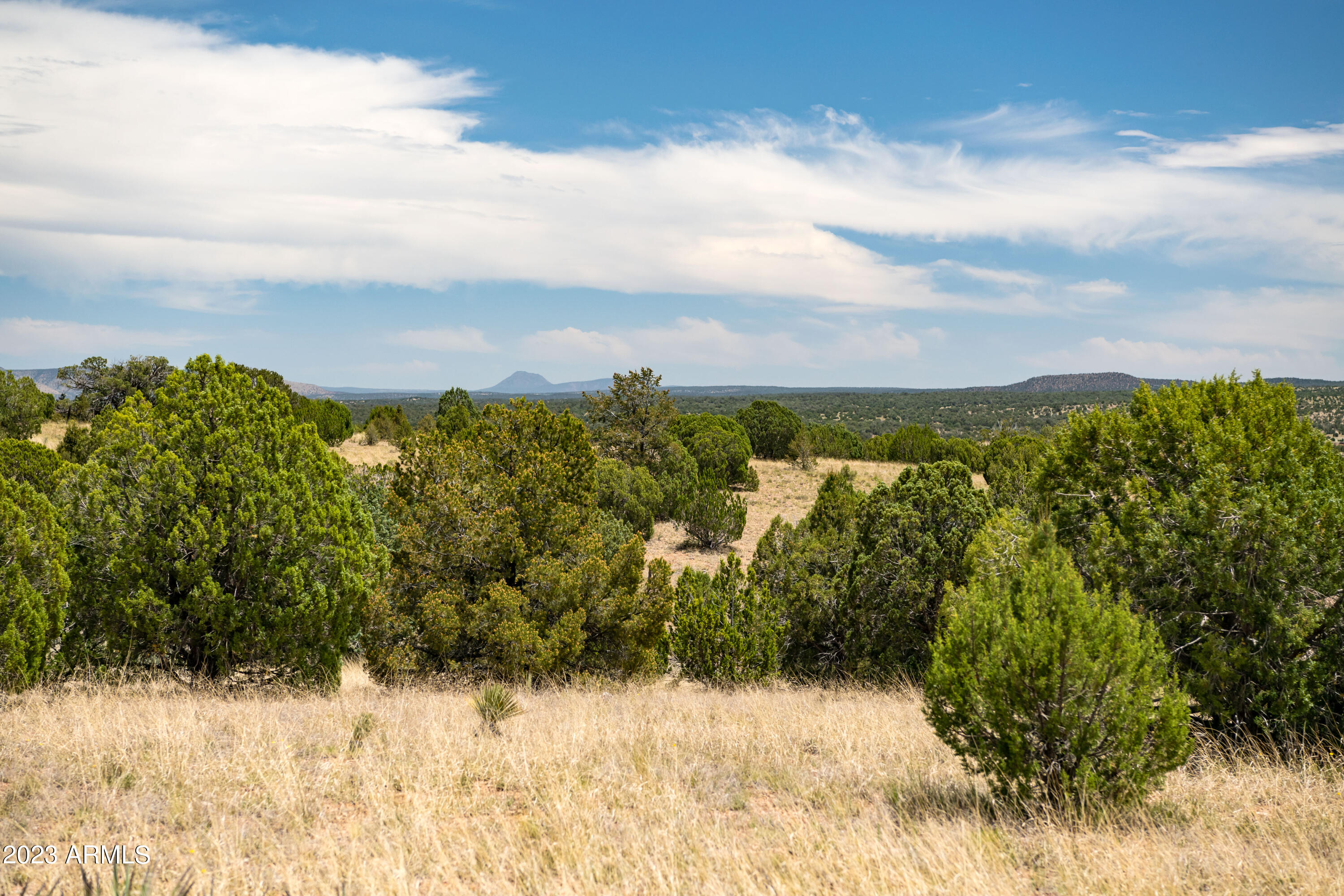 000-c Wooden Ear Ranch Road Property Photo 1