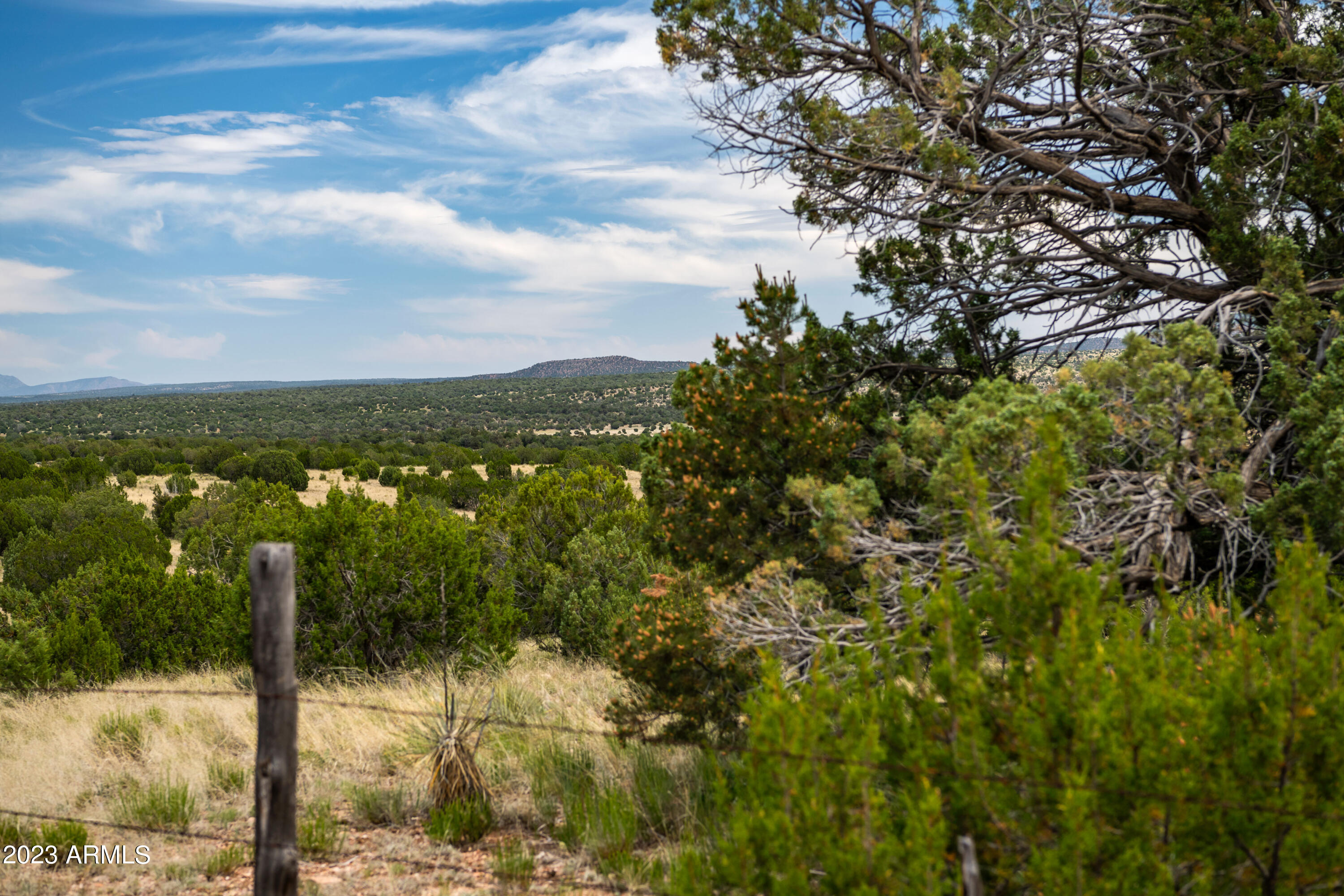 000-c Wooden Ear Ranch Road Property Photo 2