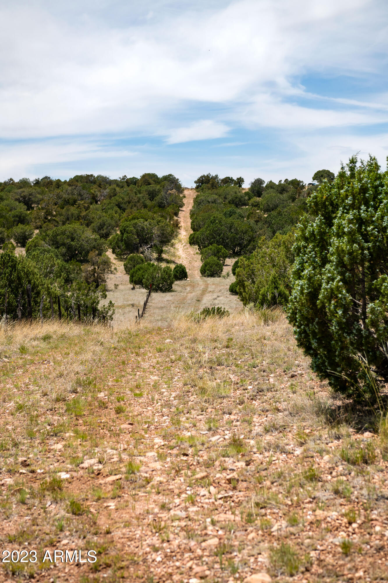 000-c Wooden Ear Ranch Road Property Photo 4