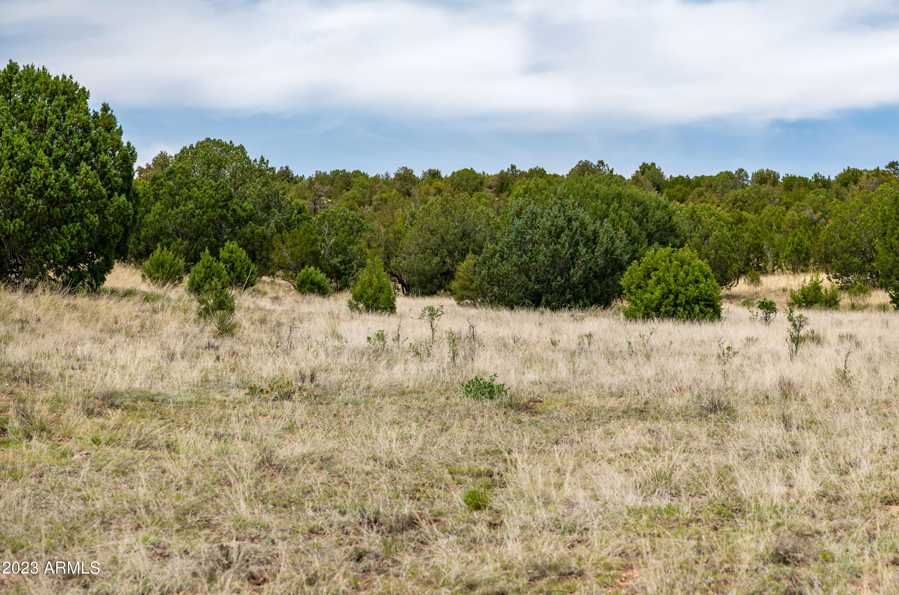 000-c Wooden Ear Ranch Road Property Photo 6