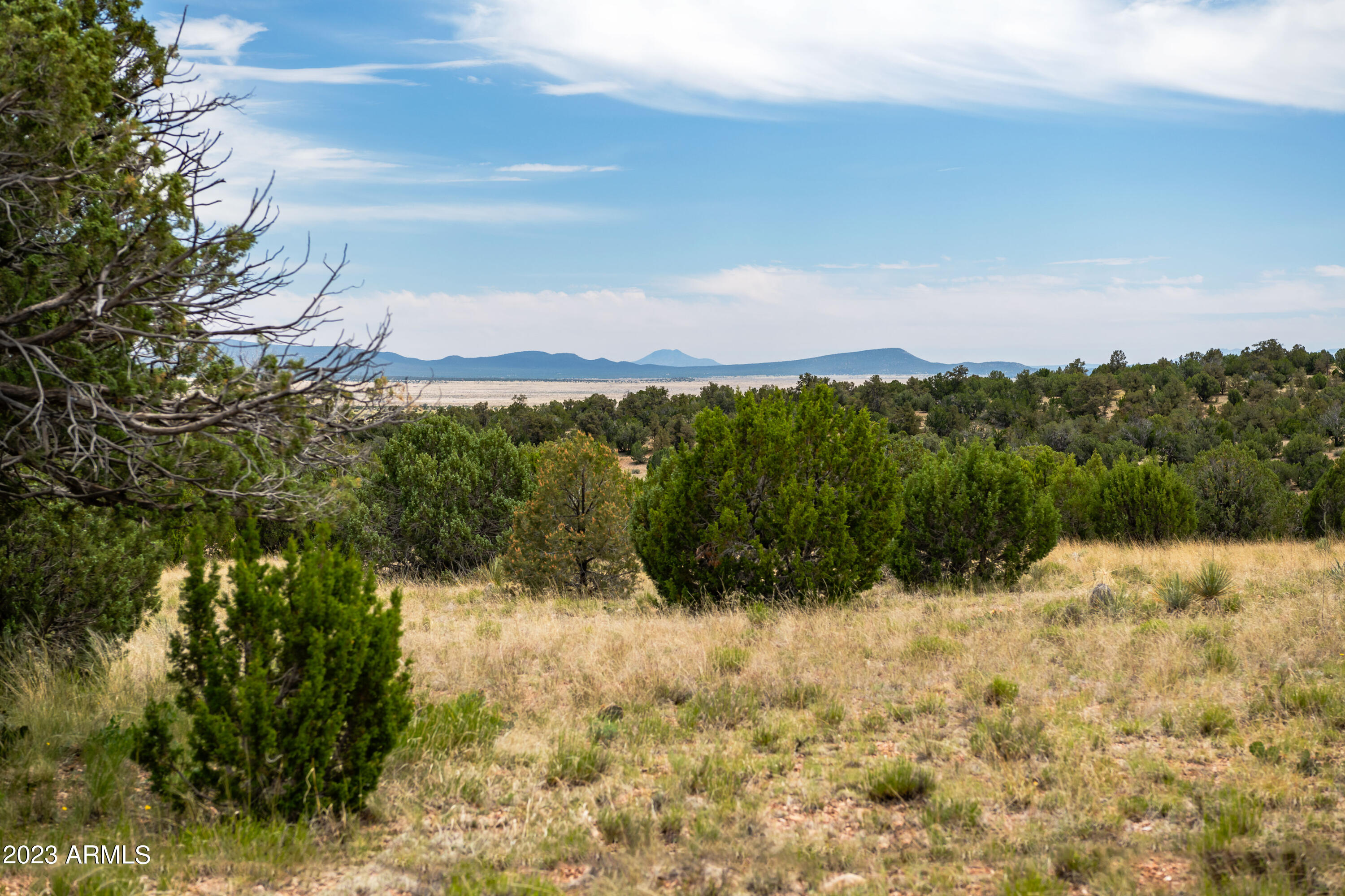 000-c Wooden Ear Ranch Road Property Photo 8