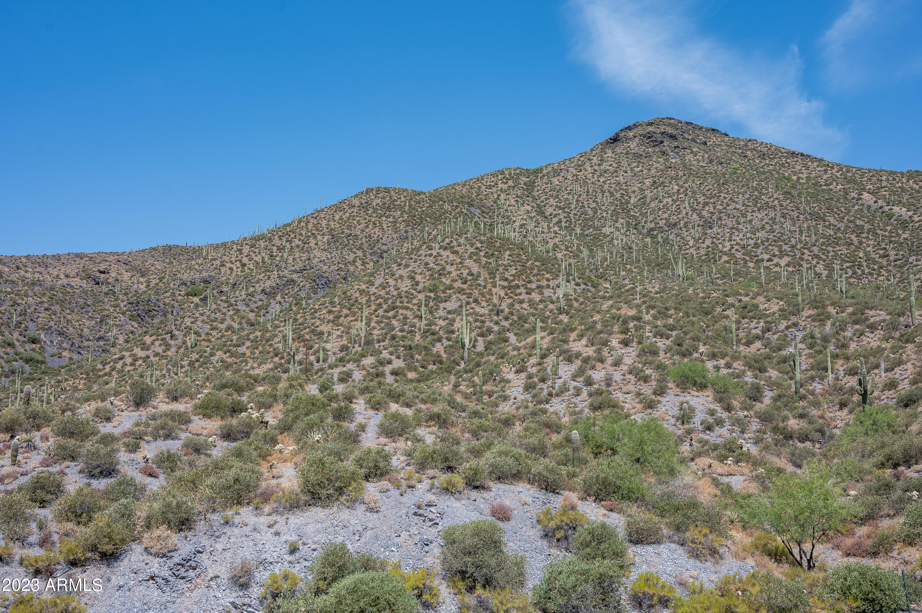 9108 E Grapevine Pass Pass Property Photo 13