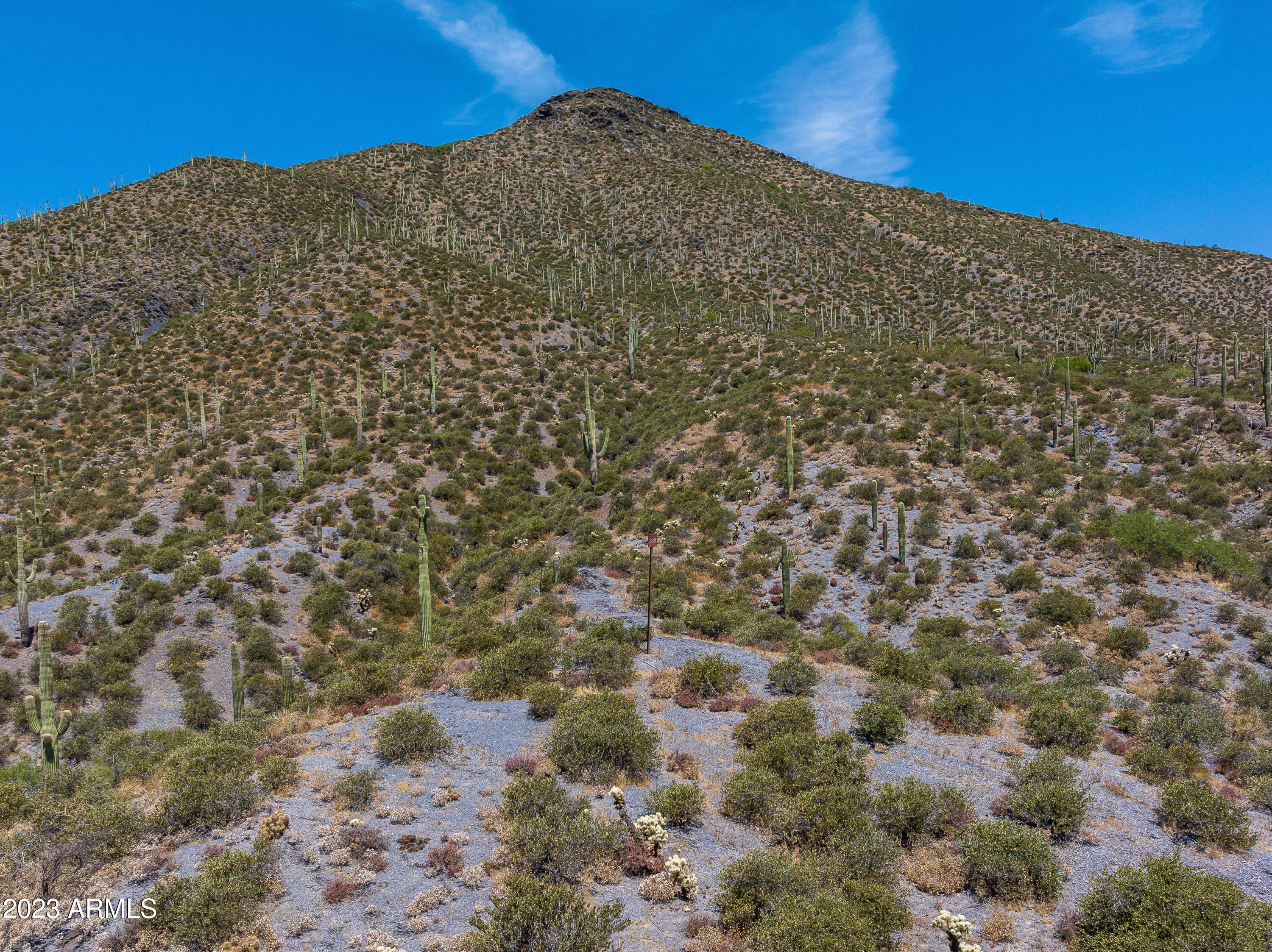 9108 E Grapevine Pass Pass Property Photo 14