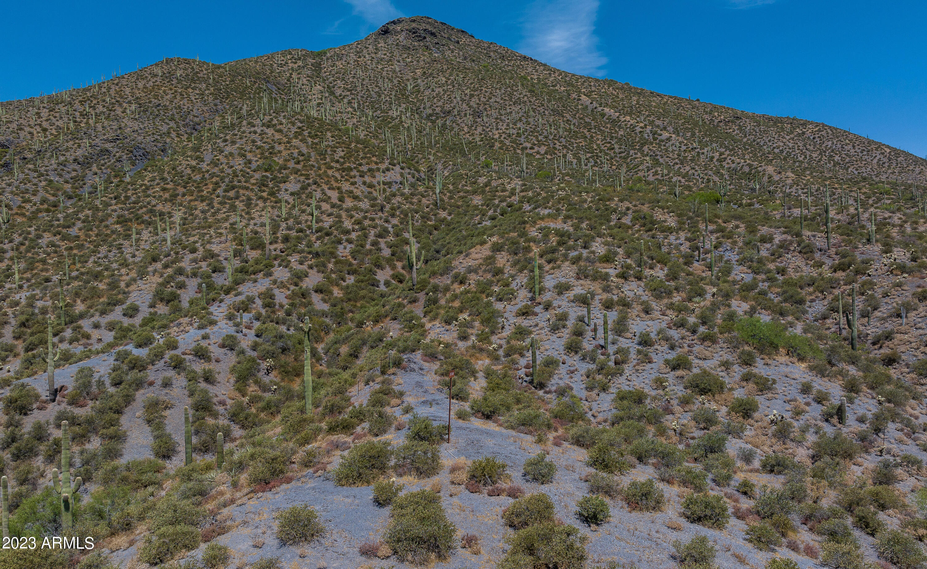 9108 E Grapevine Pass Pass Property Photo 15