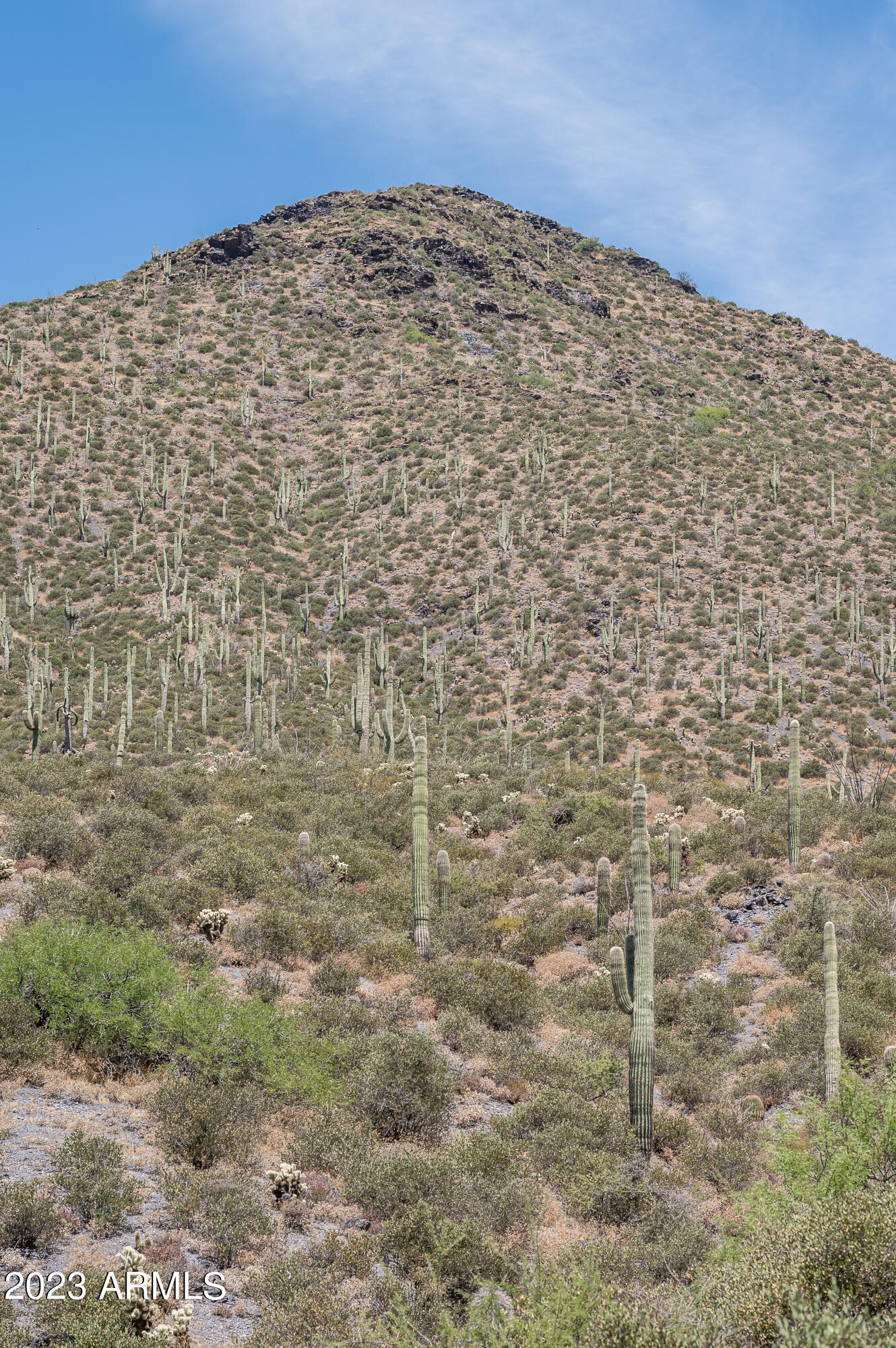 9108 E Grapevine Pass Pass Property Photo 38