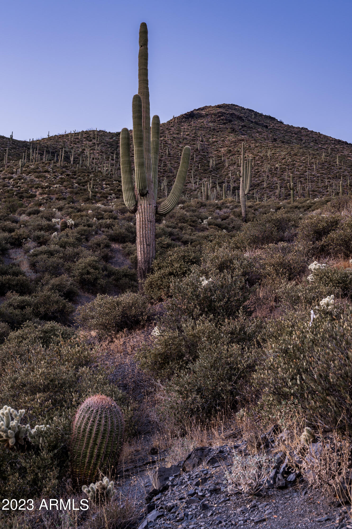 9108 E Grapevine Pass Pass Property Photo 51