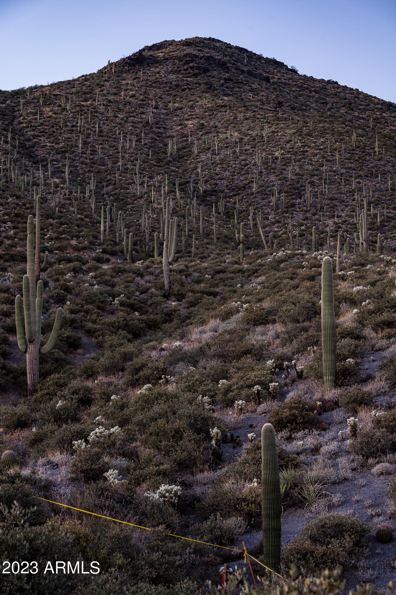 9108 E Grapevine Pass Pass Property Photo 52