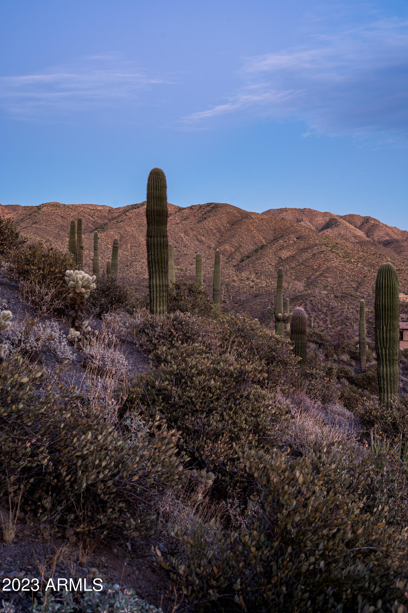 9108 E Grapevine Pass Pass Property Photo 55