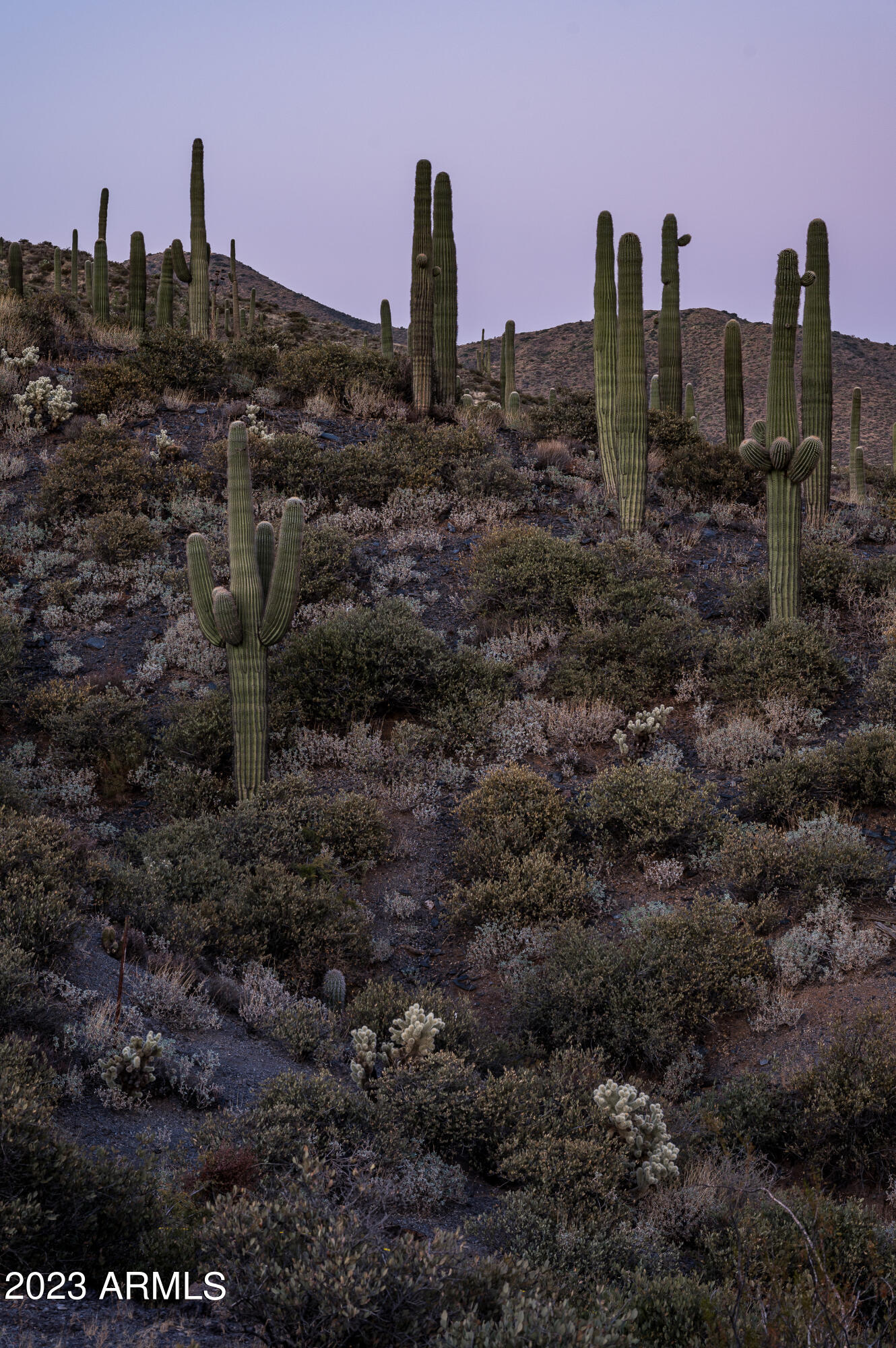 9108 E Grapevine Pass Pass Property Photo 59