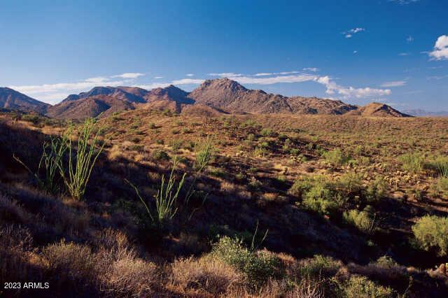 14433 E Desert Tortoise Trail Property Photo