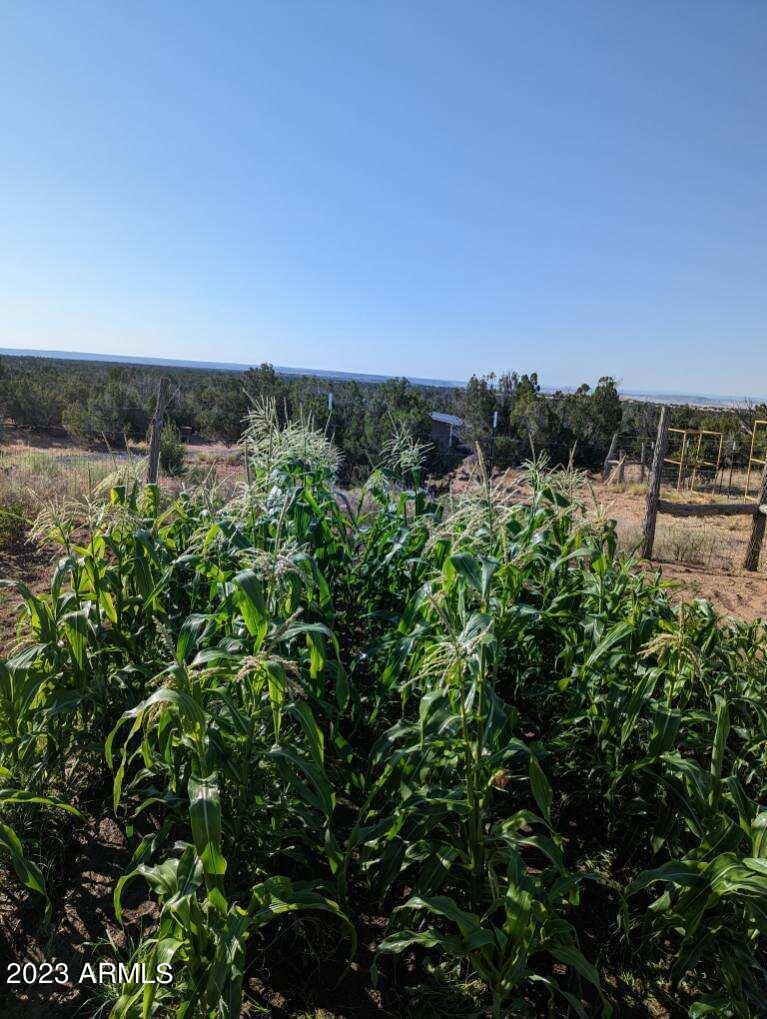 33990 Us Highway 191 Property Photo 2