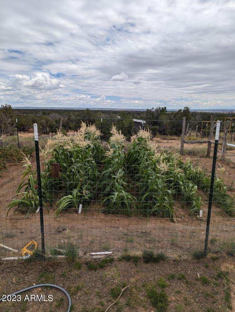 33990 Us Highway 191 Property Photo 3