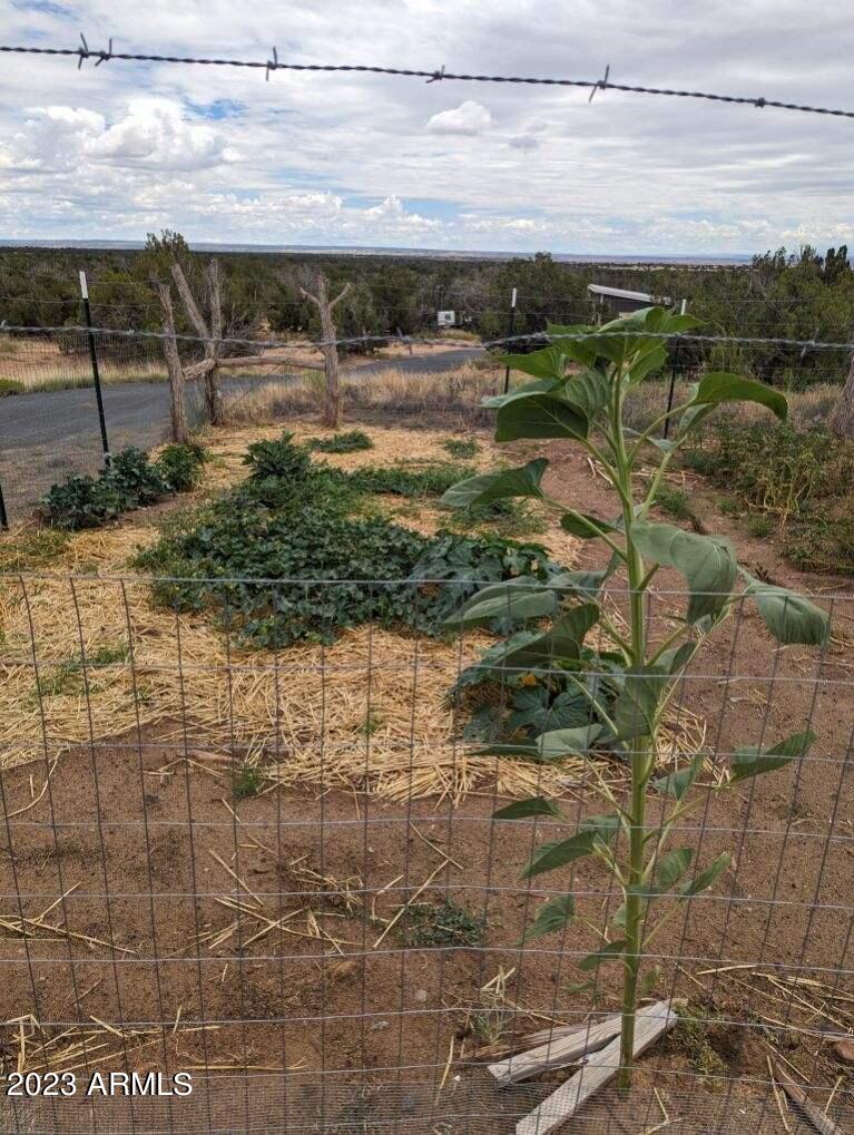 33990 Us Highway 191 Property Photo 4