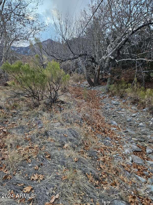 1 Acre E Catclaw Circle Property Photo 4