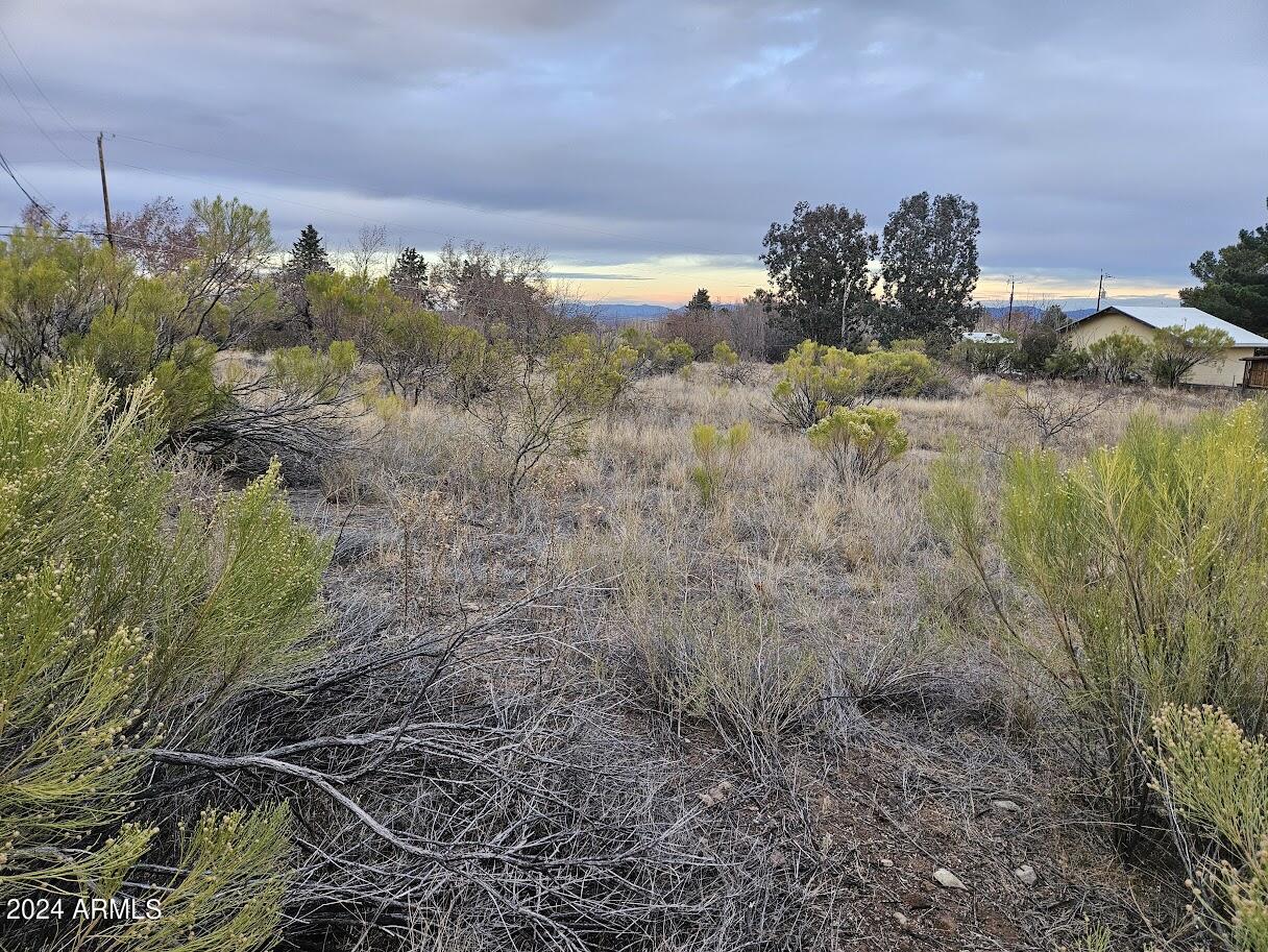 1 Acre E Catclaw Circle Property Photo 6