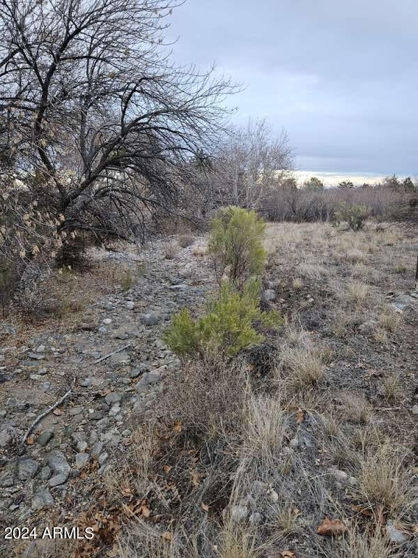 1 Acre E Catclaw Circle Property Photo 8