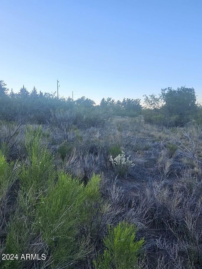 1 Acre E Catclaw Circle Property Photo 9