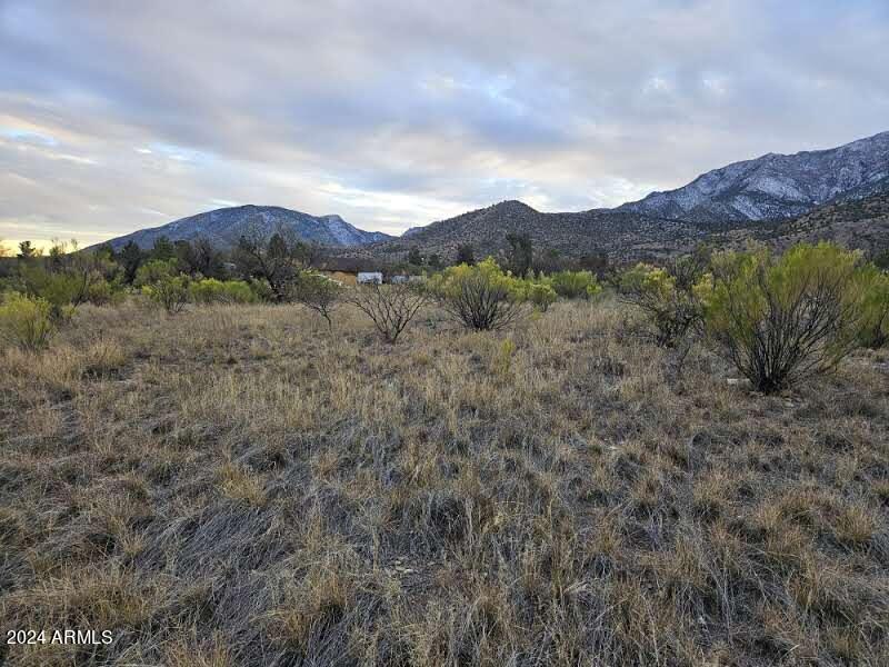 1 Acre E Catclaw Circle Property Photo 10