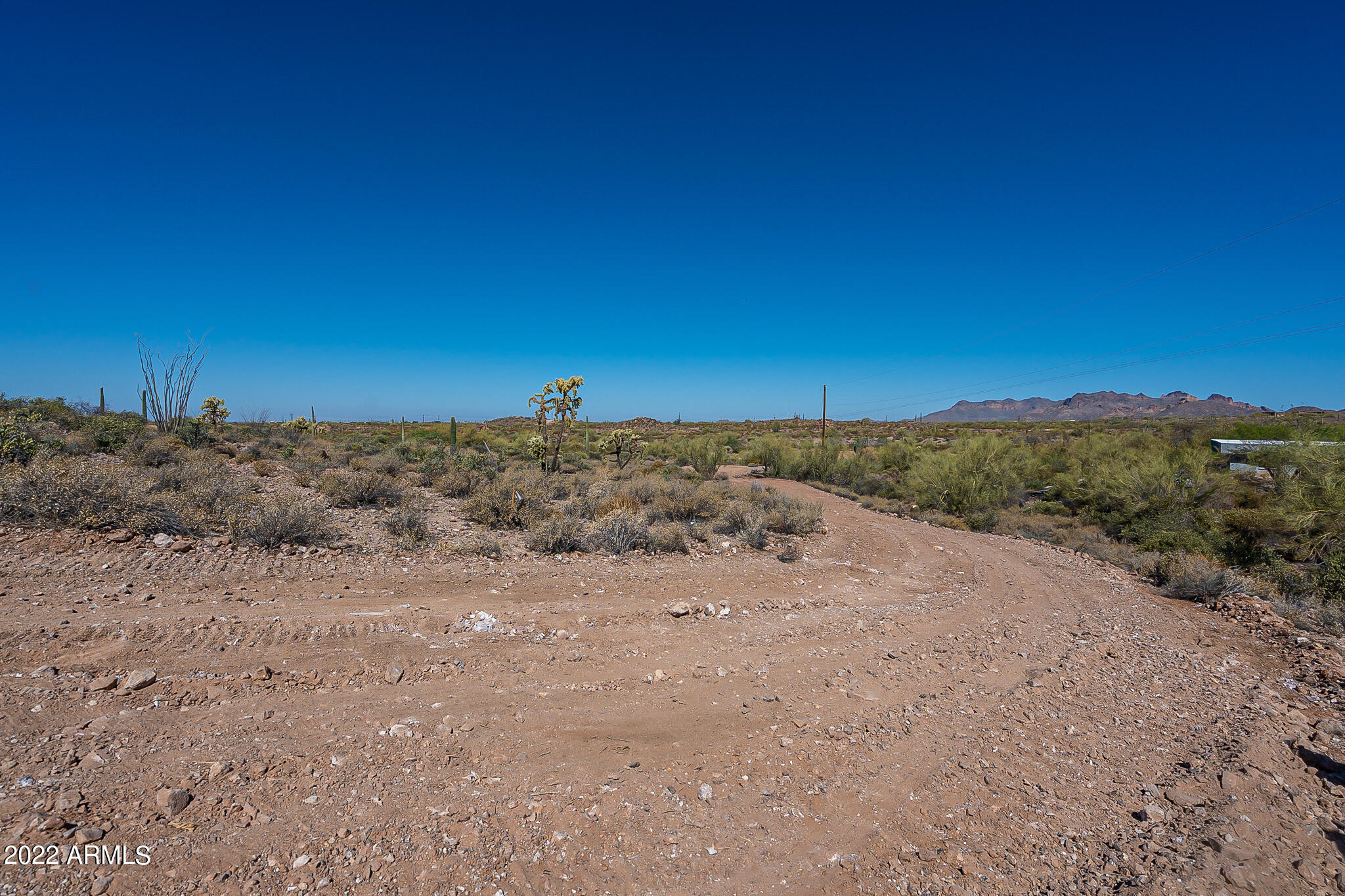 0 E Sagebrush Street Property Photo 11