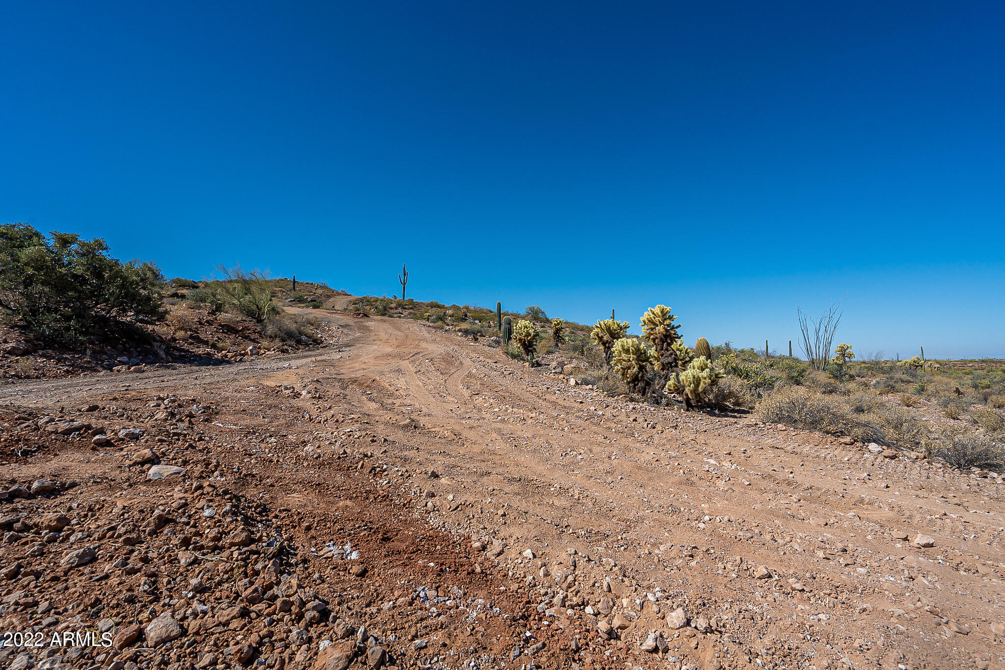 0 E Sagebrush Street Property Photo 12
