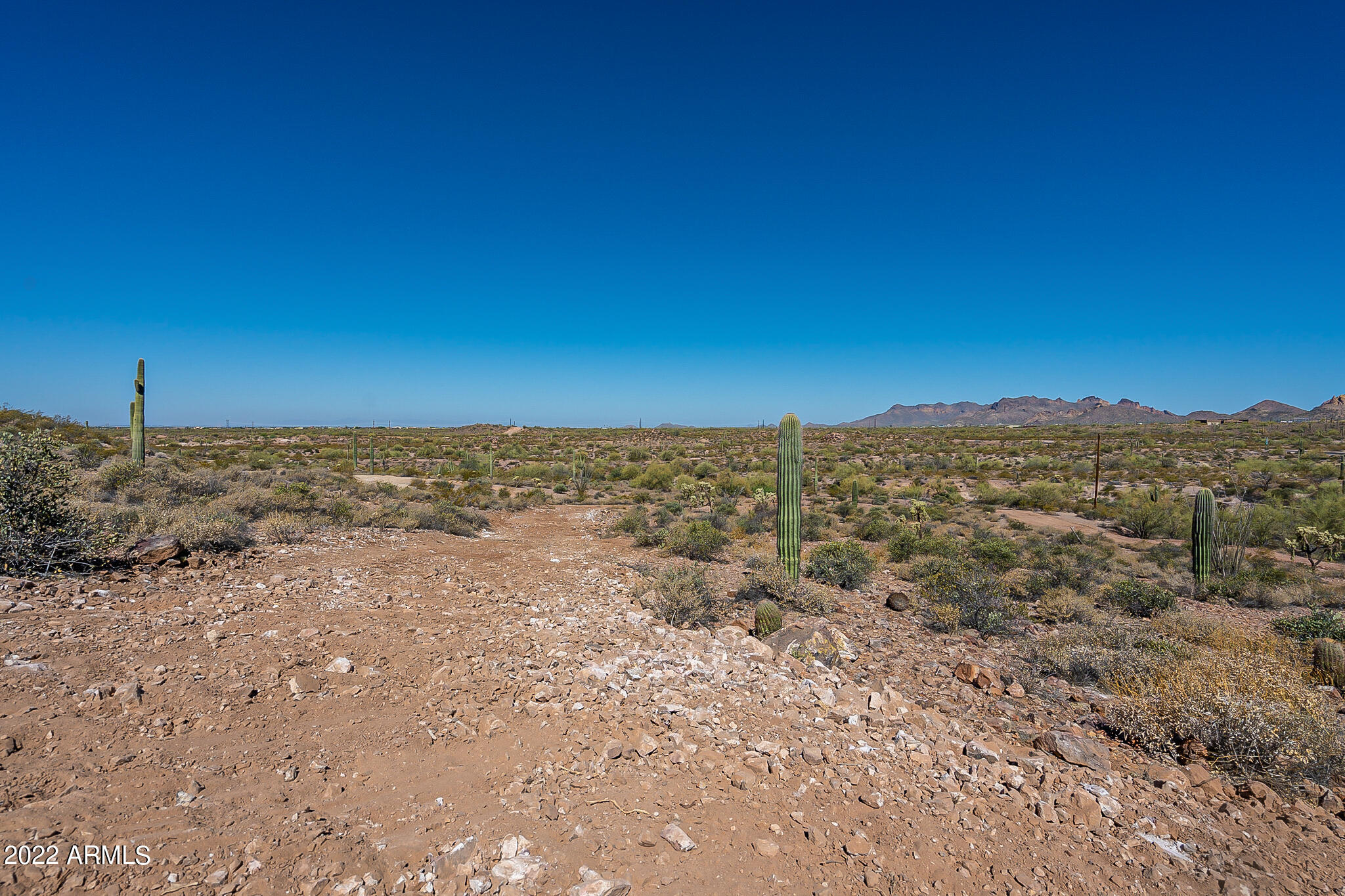 0 E Sagebrush Street Property Photo 13