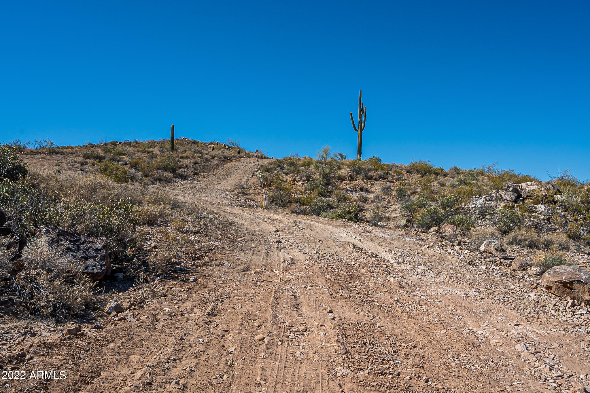 0 E Sagebrush Street Property Photo 14