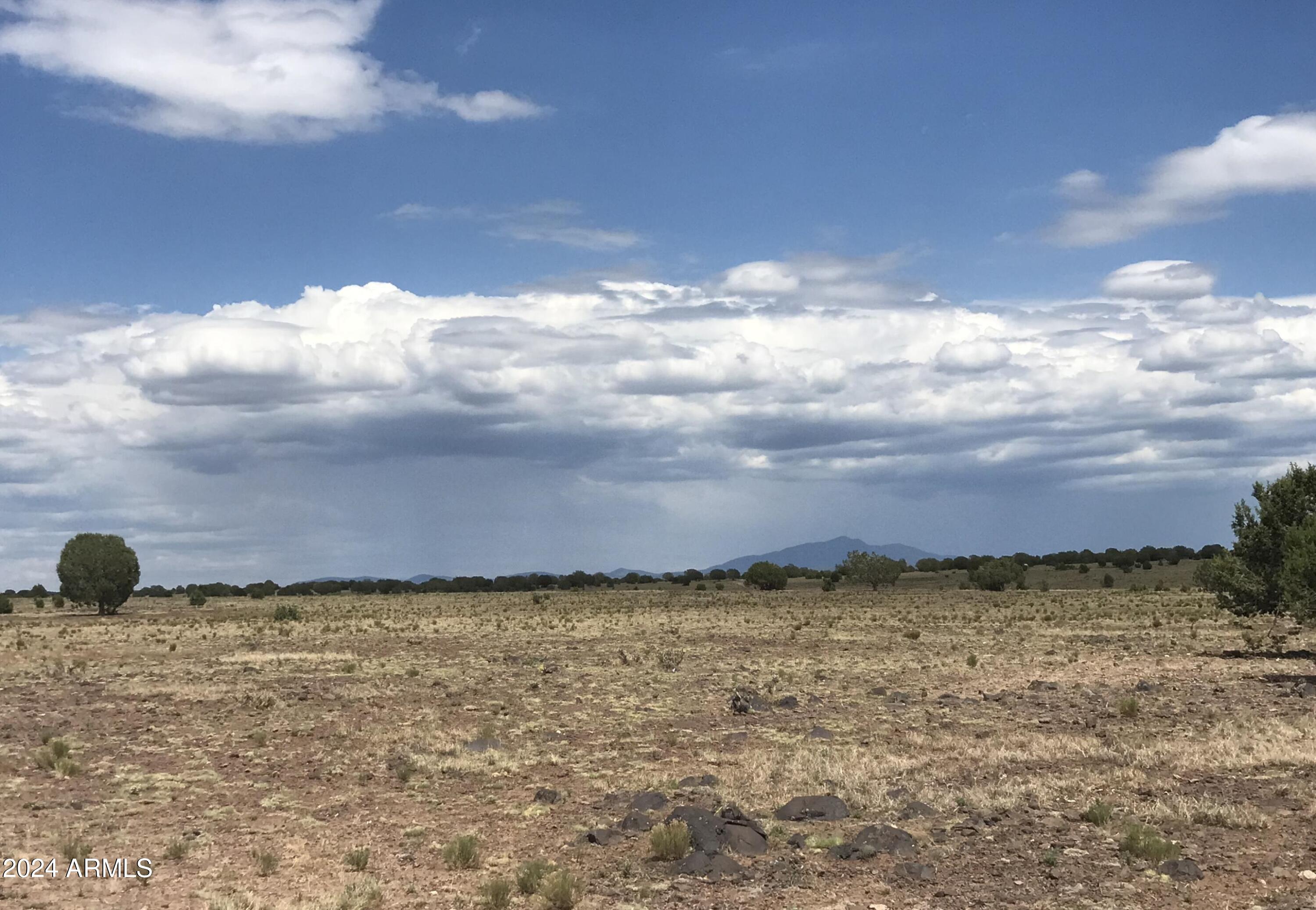 16 Tuscan Road Property Photo 5