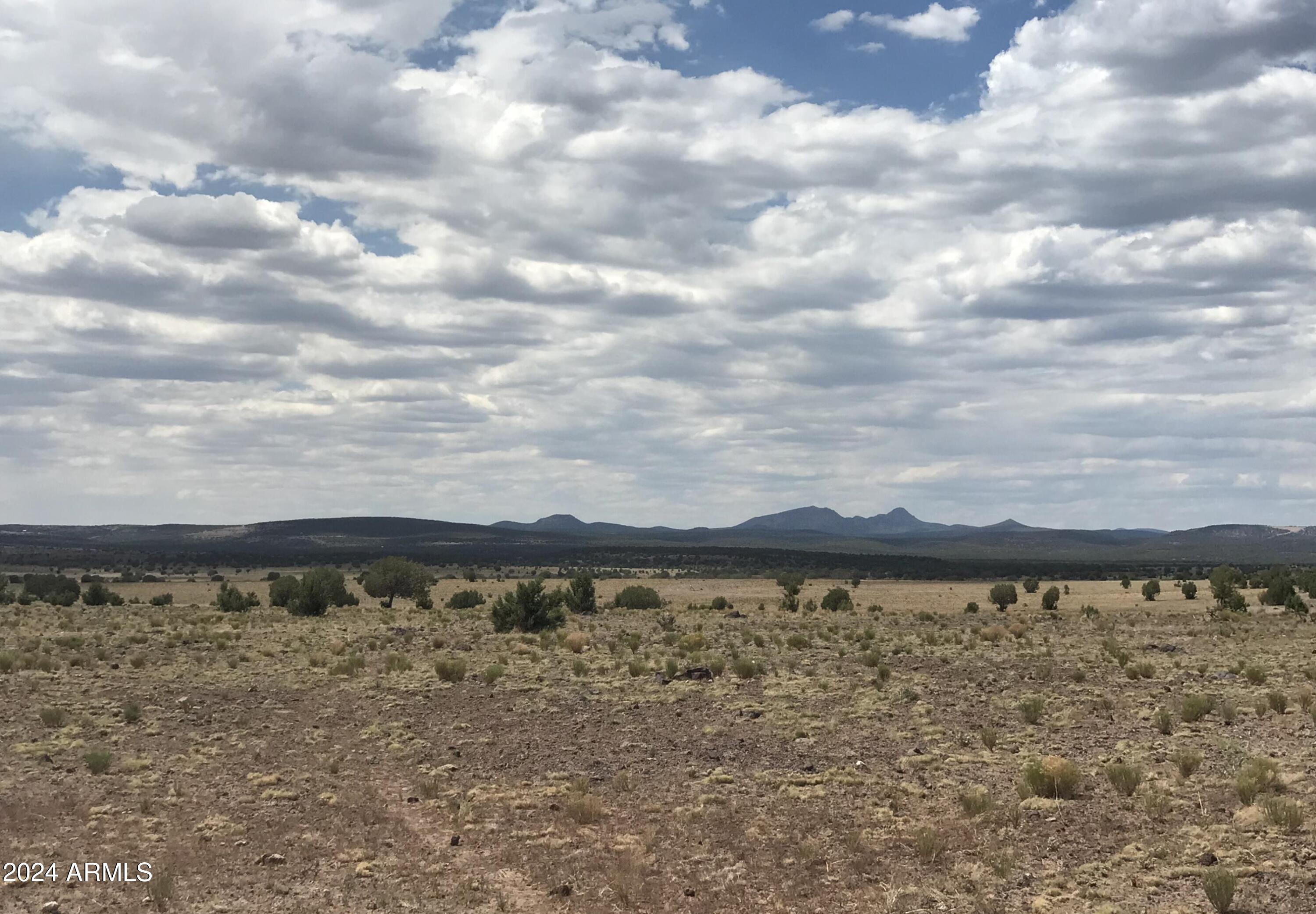 16 Tuscan Road Property Photo 6