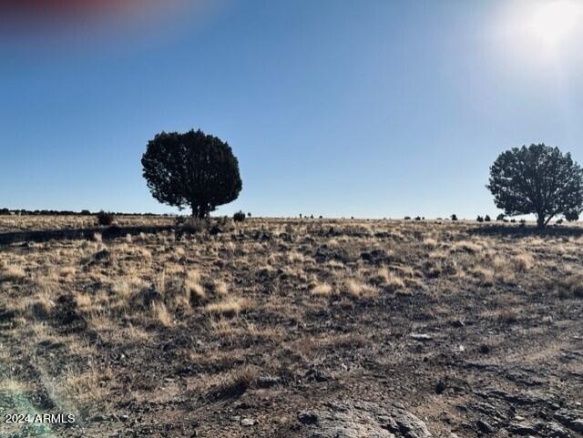 16 Tuscan Road Property Photo 11