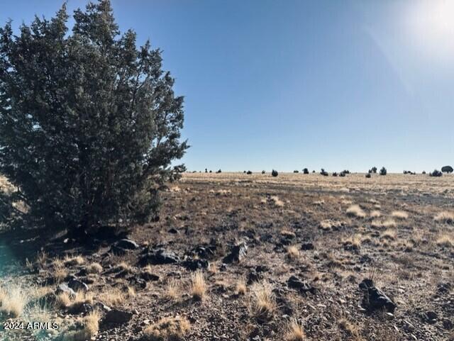 16 Tuscan Road Property Photo 12