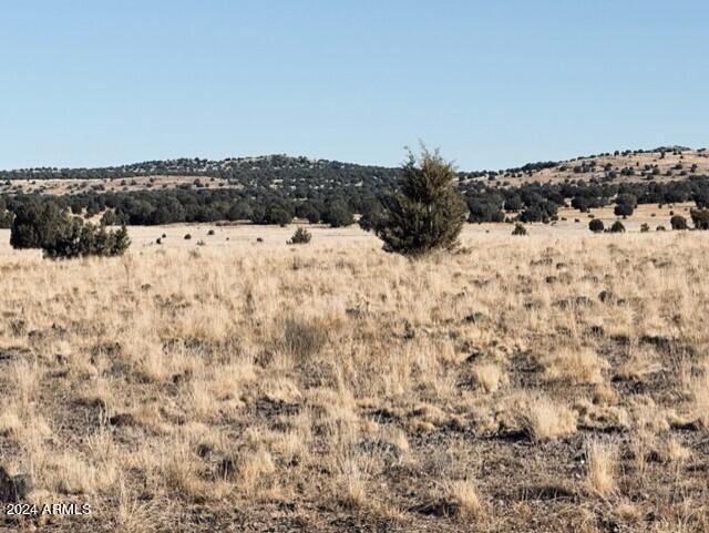 16 Tuscan Road Property Photo 14