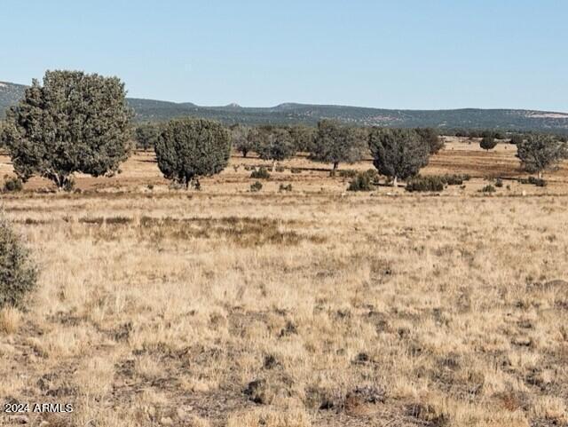 16 Tuscan Road Property Photo 15