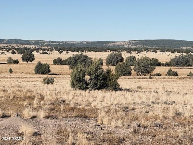 16 Tuscan Road Property Photo 17